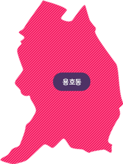 용호동