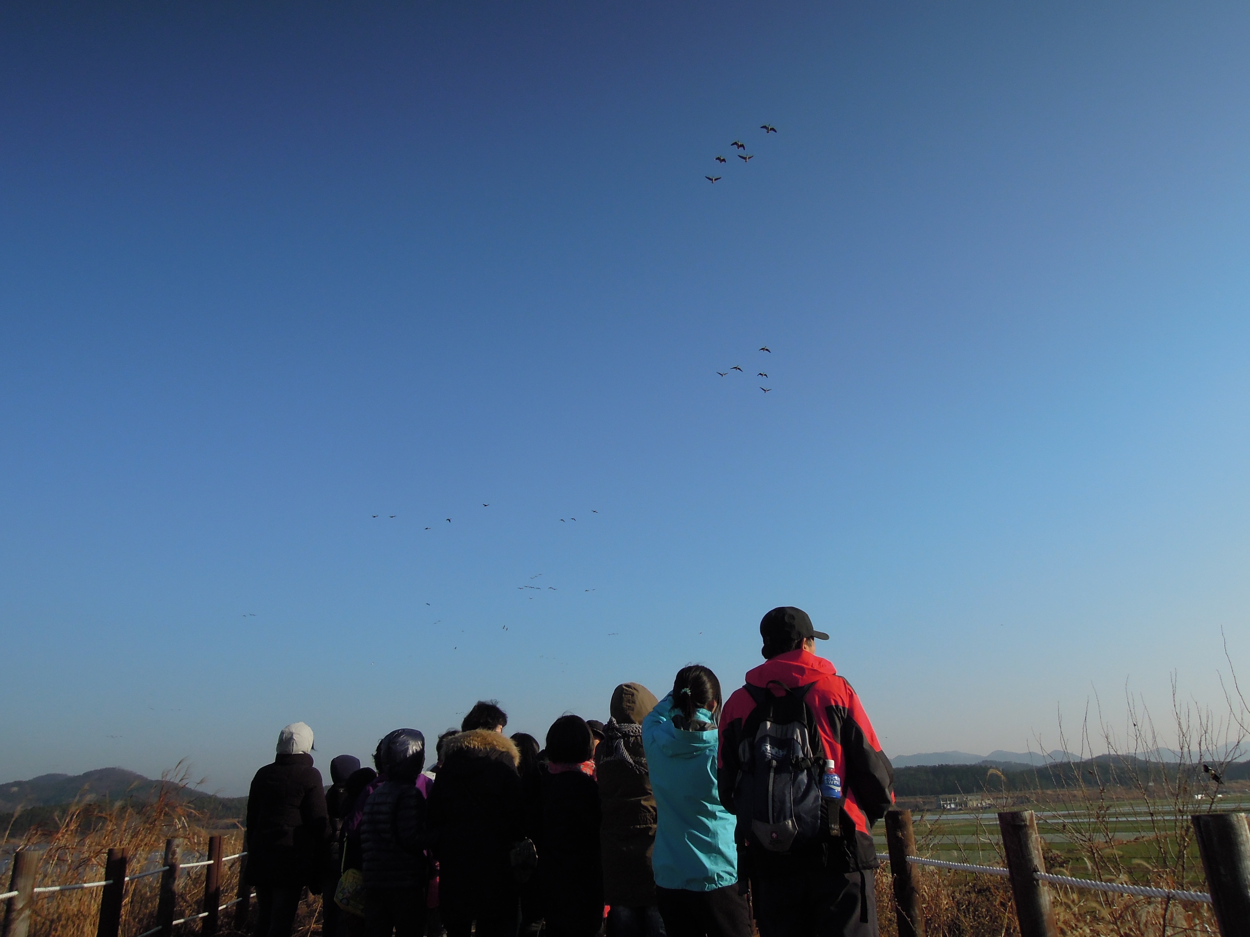 가족과 함께하는 겨울철새 탐조 체험 (2) 사진자료