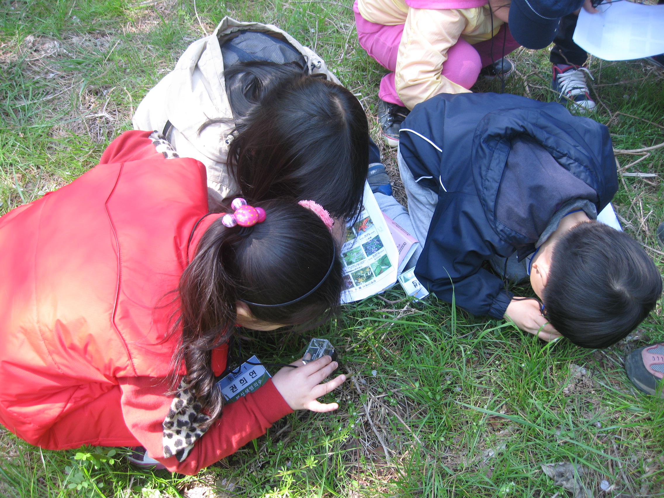 2013-04-13 황령산 숲 체험 교실 사진자료