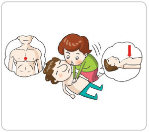 성인의 심폐소생술 - 호흡이 없고 인공호흡에도 기침이나 움직임이 없는 경우 실시한다.