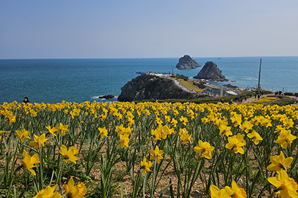 수산화단지