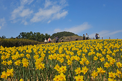 수산화단지