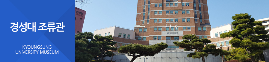 경성대조류관 KYOUNGSUNG UNIVERSITY MUSEUM