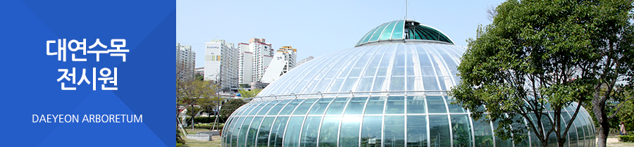 대연수목전시원 DAEYEON ARBORETUM