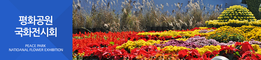 평화공원 국화 전시회 PEACE PARK NATIONAL FLOWER EXHIBITION