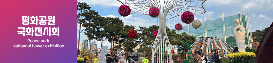 평화공원 국화 전시회 PEACE PARK NATIONAL FLOWER EXHIBITION