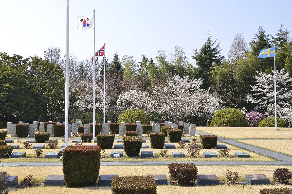 [봄] 유엔기념공원의 봄 2의 파일 이미지