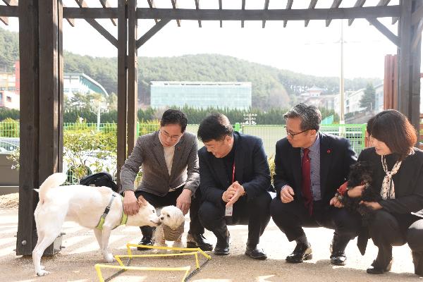 남구 반려견놀이터 동숲 준공식 썸네일