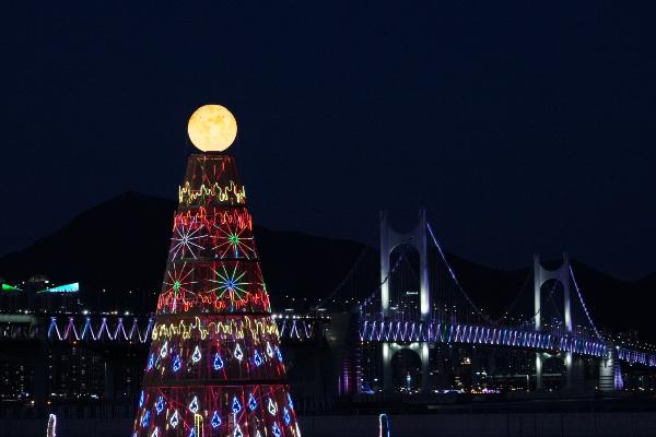 2025 달맞이축제 LED 달집 점등 썸네일