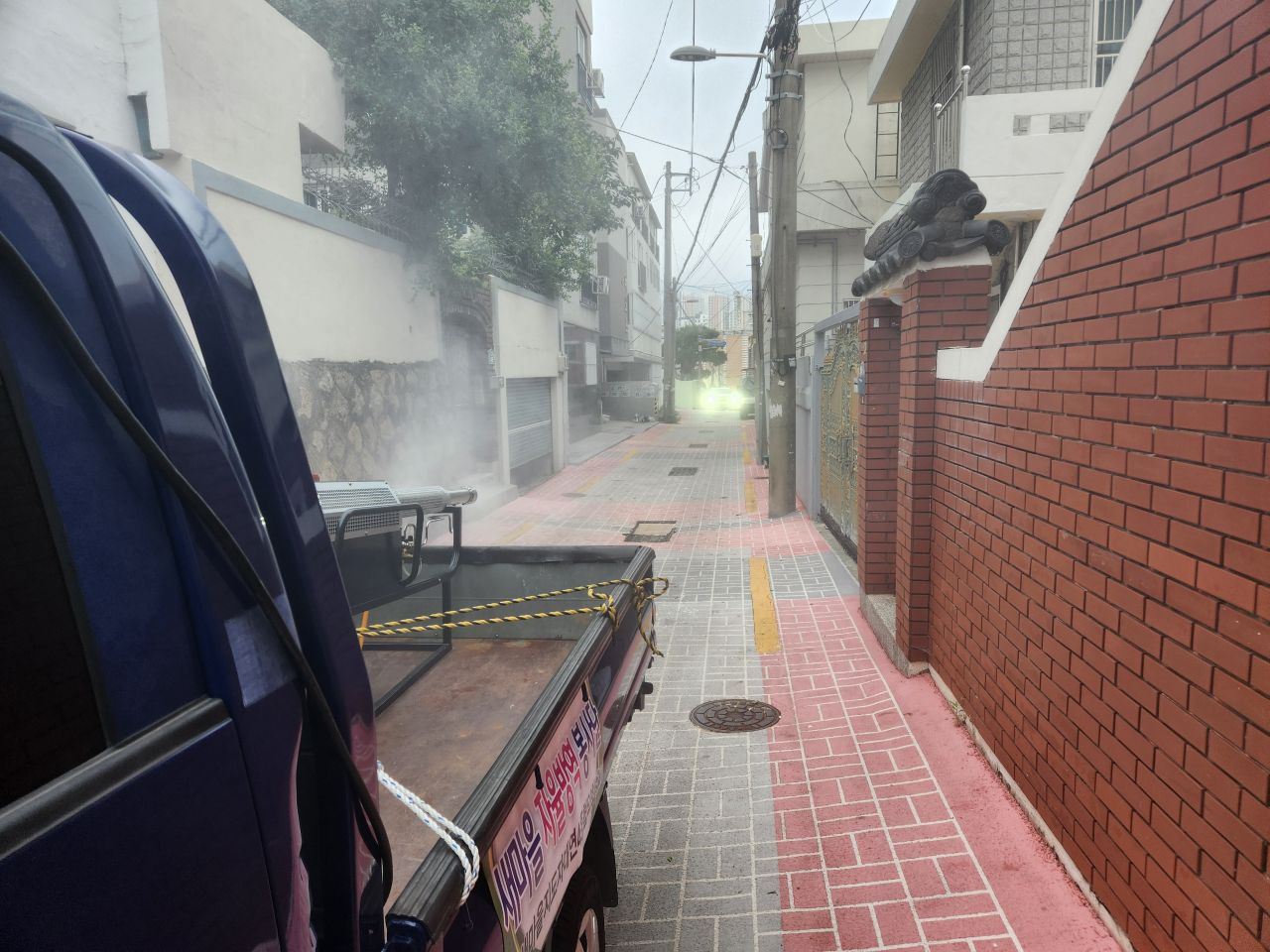 [20240928] 새마을자율방역단 방역 실시1