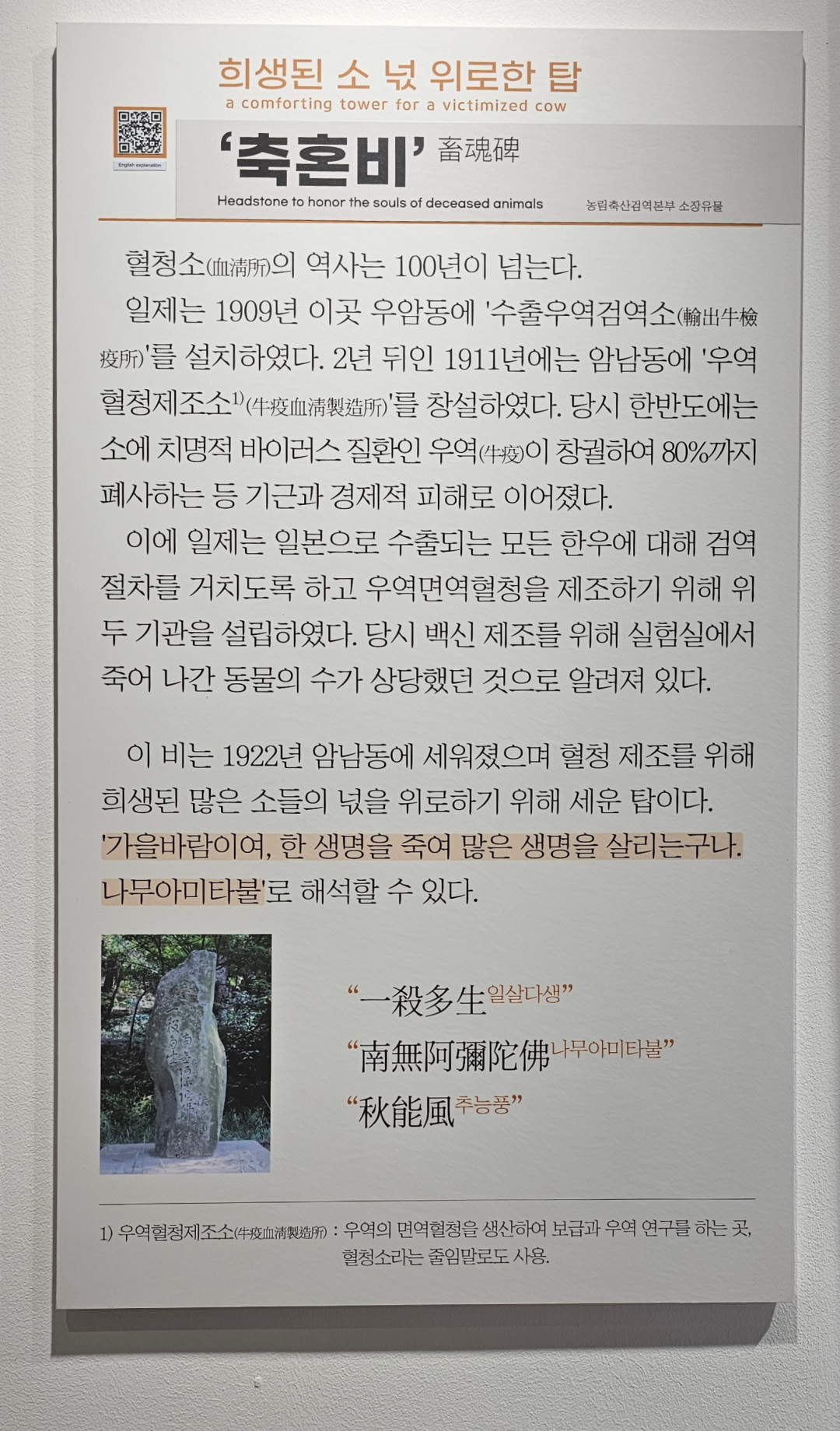 갤러리의 파일 이미지 이미지