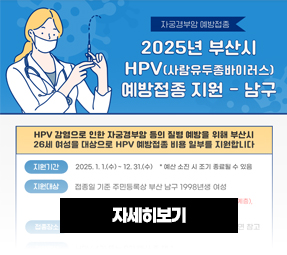 2025년 부산시 hpv